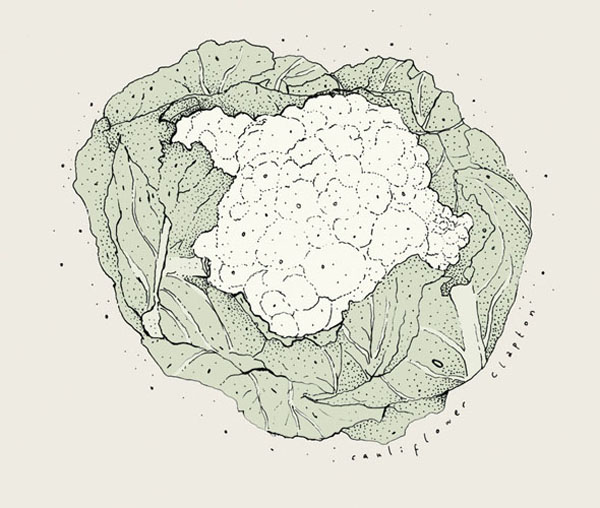 cauliflower_B