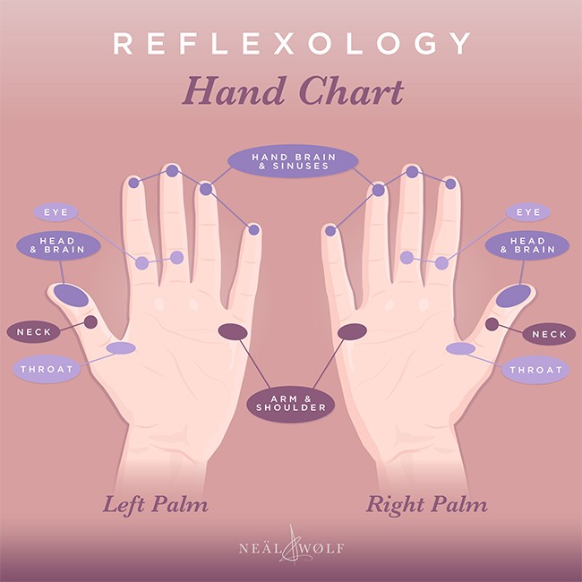 Reflexology Hand chart Image 650x650px